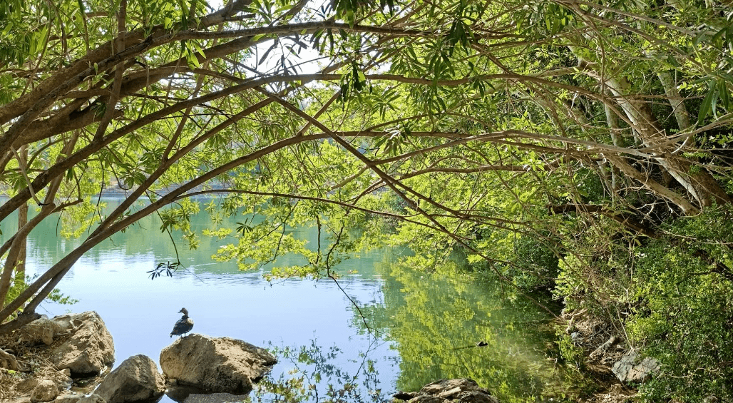 Zaros Lake